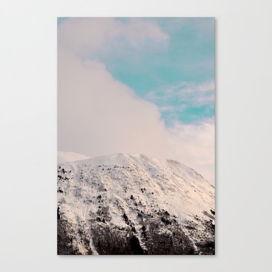 Black, White & Turquoise Winter Canvas Print