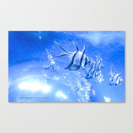 Shole Canvas Print