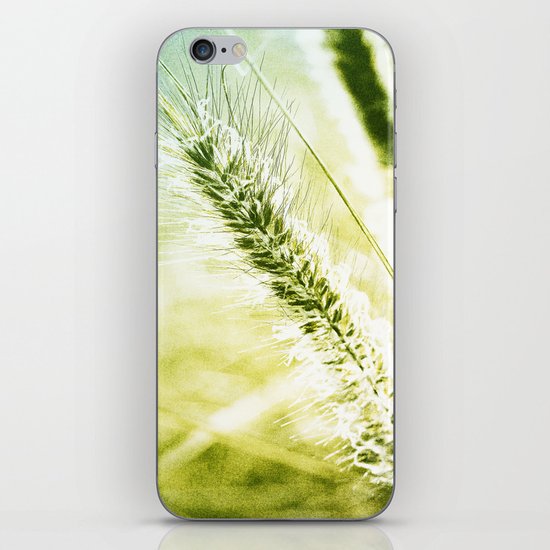Splendor iPhone & iPod Skin