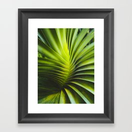 Spiral Framed Art Print