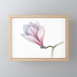 Watercolour Magnolia Flower Framed Mini Art Print