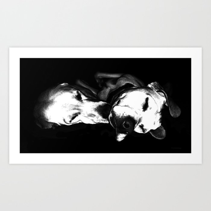 Sweet Dreams - Black And White Dog Art Art Print
