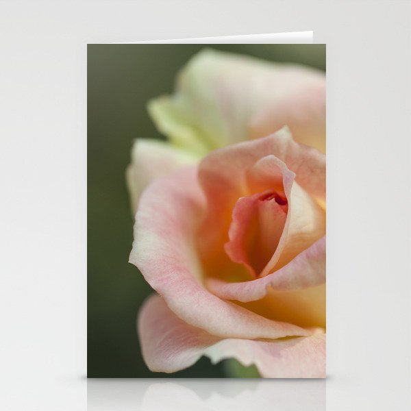 Flower Five Stationery Cards