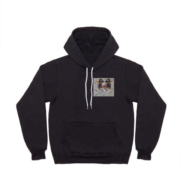 Wildfox everyday hoodie deals