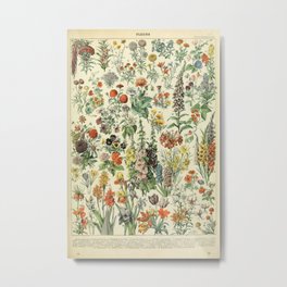 Adolphe Millot Vintage Fleurs Flower 1909 Metal Print