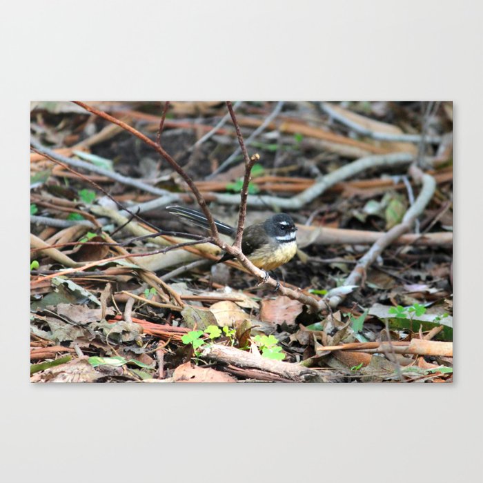 My Little Feathered Friend Canvas Print