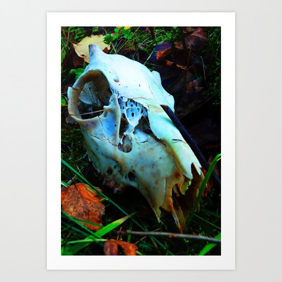 The Deer Art Print