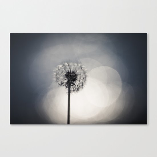 Reflect Canvas Print