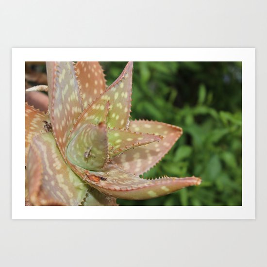 Extreme Nature Art Print