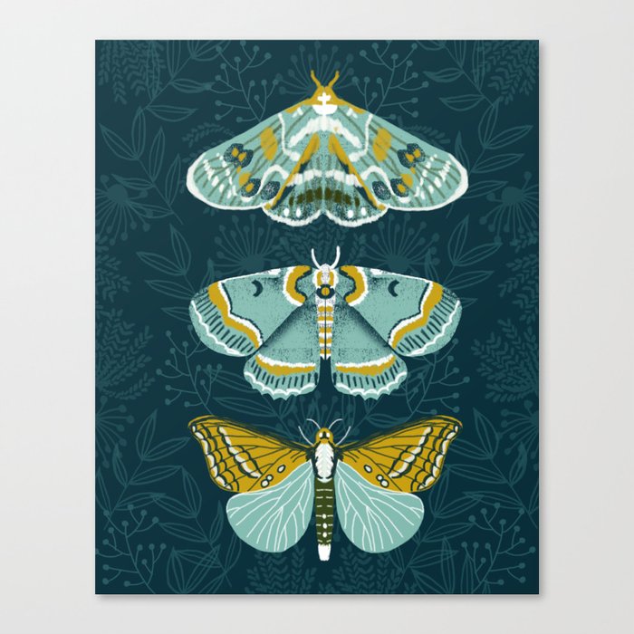 Lepidoptery No. 8 by Andrea Lauren  Canvas Print