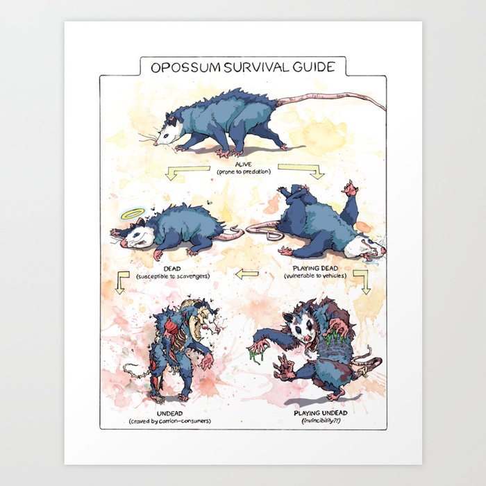Opossum Survival Guide Kunstdrucke | Drawing, Digital, Opossum, Possum, Undead, Zombies, Zombie, Animals, Playing-dead, Play-dead