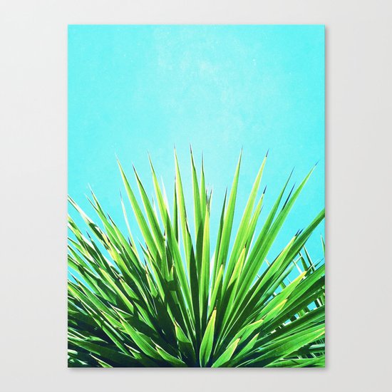 Solar Yucca Palm Canvas Print