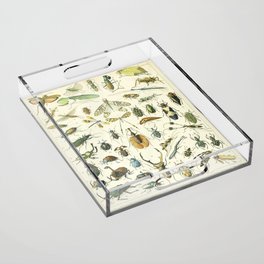 Vintage Insects Poster - Adolphe Millot Acrylic Tray
