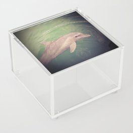 Dolphin Acrylic Box
