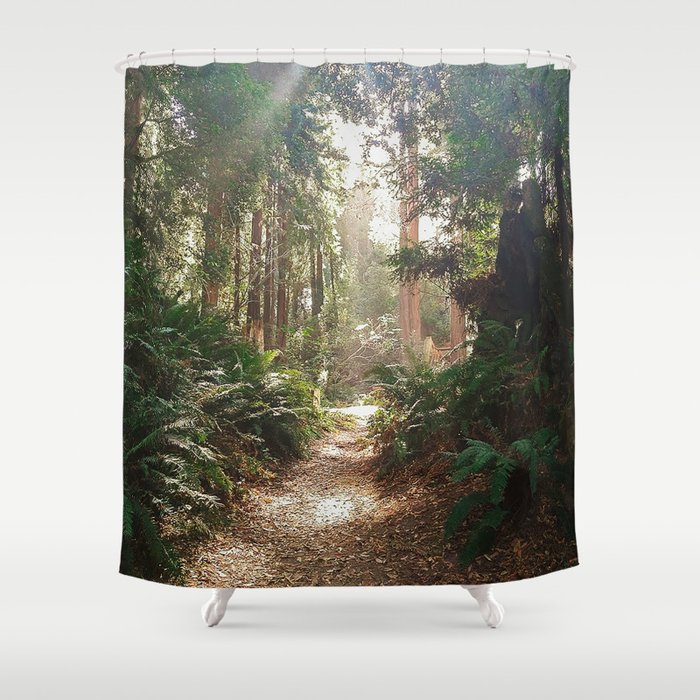 Redwood Pathway Shower Curtain