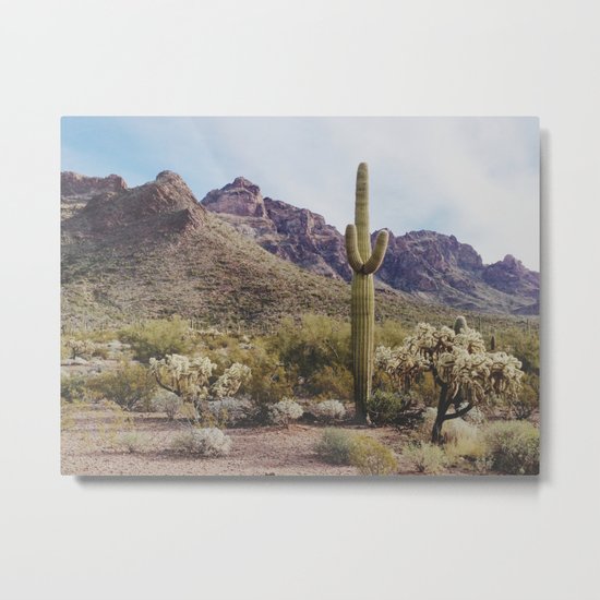 Arizona Cactus Metal Print