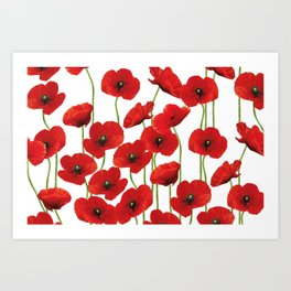 Poppies Flowers red field white background pattern Art Print