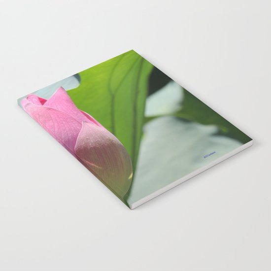 Lotus Bud in West Lake Notebook
