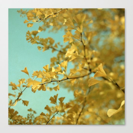 Ginkgo #3 Canvas Print