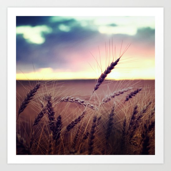 Glide and Sing Art Print