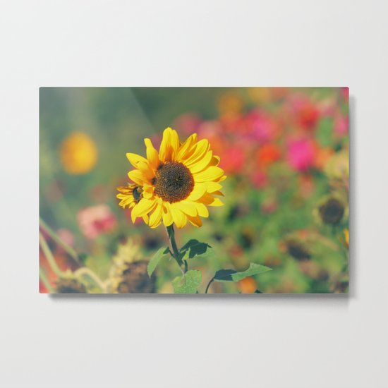 Bursting with Cheer Metal Print