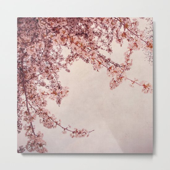 like springdays... Metal Print