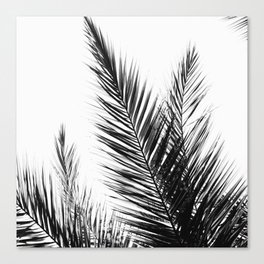 Minimal Palms Canvas Print