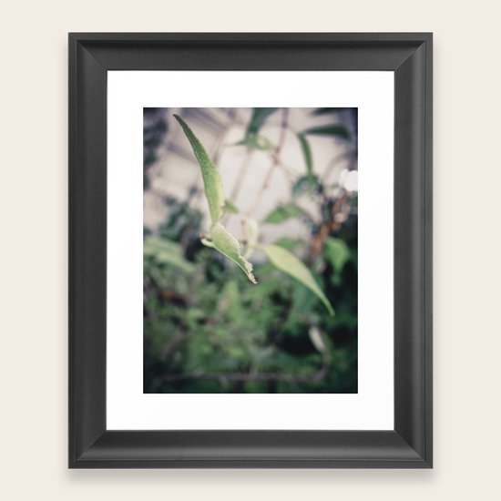 Reach Framed Art Print