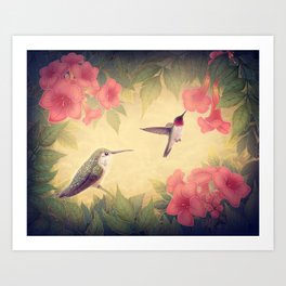 Ruby-throated Hummingbirds Art Print