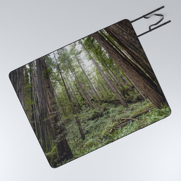 Natural best sale picnic blanket