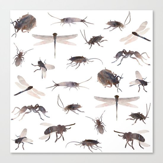 Insects Mix Canvas Print