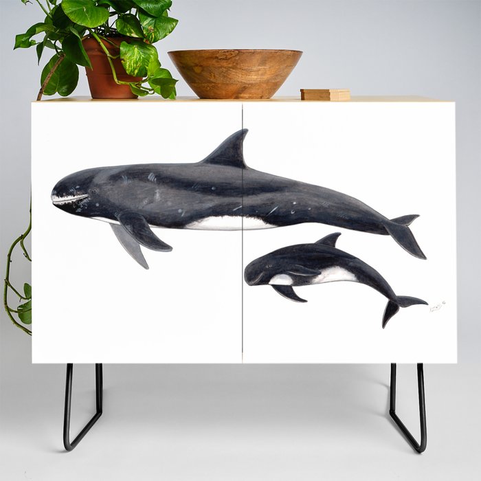 Pygmy killer whale Credenza