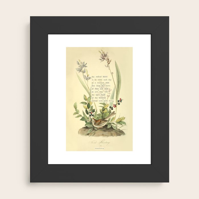 Framed Art Print