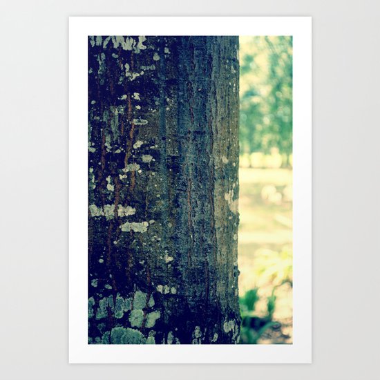 TreeBark Art Print