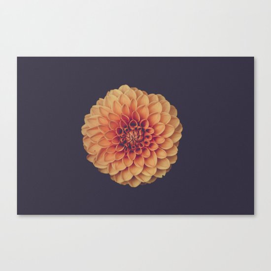 Yellow Flower Petals Canvas Print