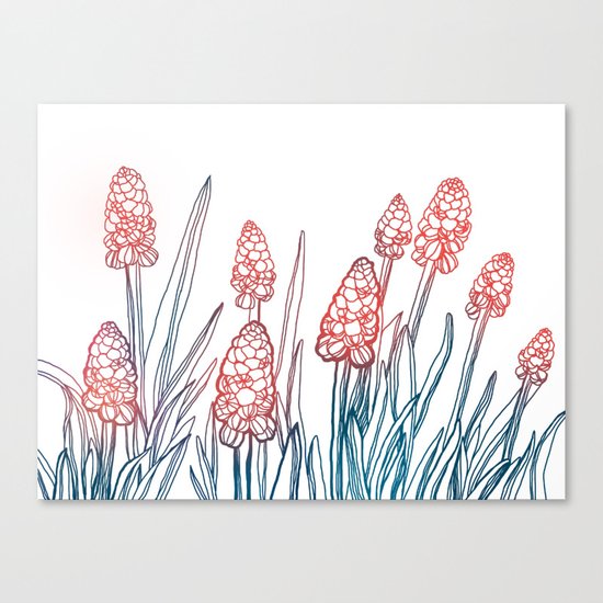 Hyacinths Canvas Print