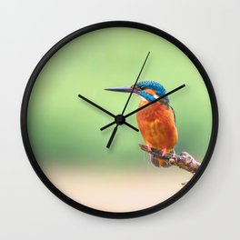 Common Kingfisher (Alcedo atthis) Eurasian Kingfisher Bird sitting on a Branch Wall Clock