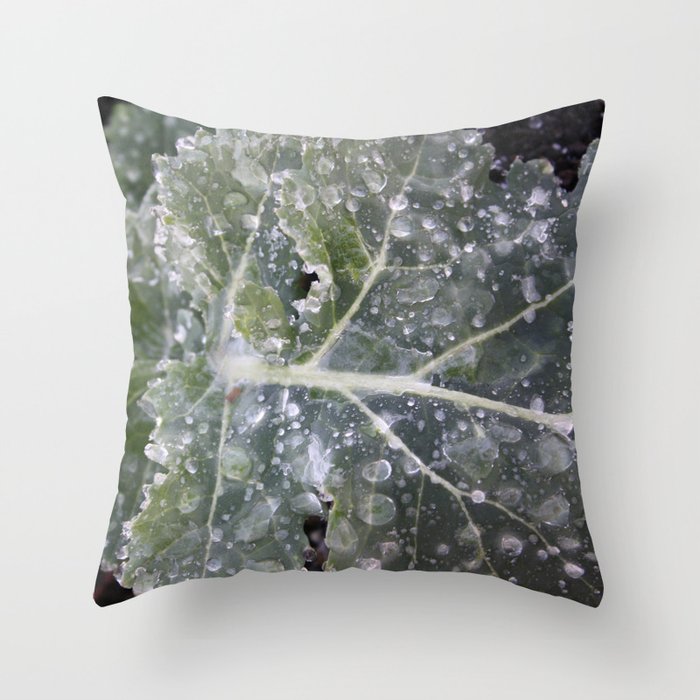The First Frost Throw Pillow