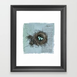 Bird Nest Framed Art Print