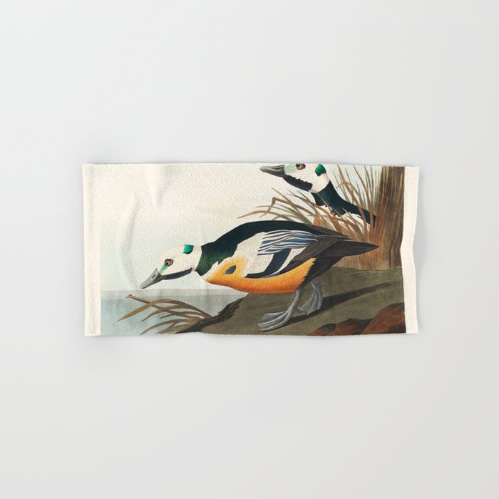 Western Duck from Birds of America (1827) by John James Audubon Hand & Bath Towel