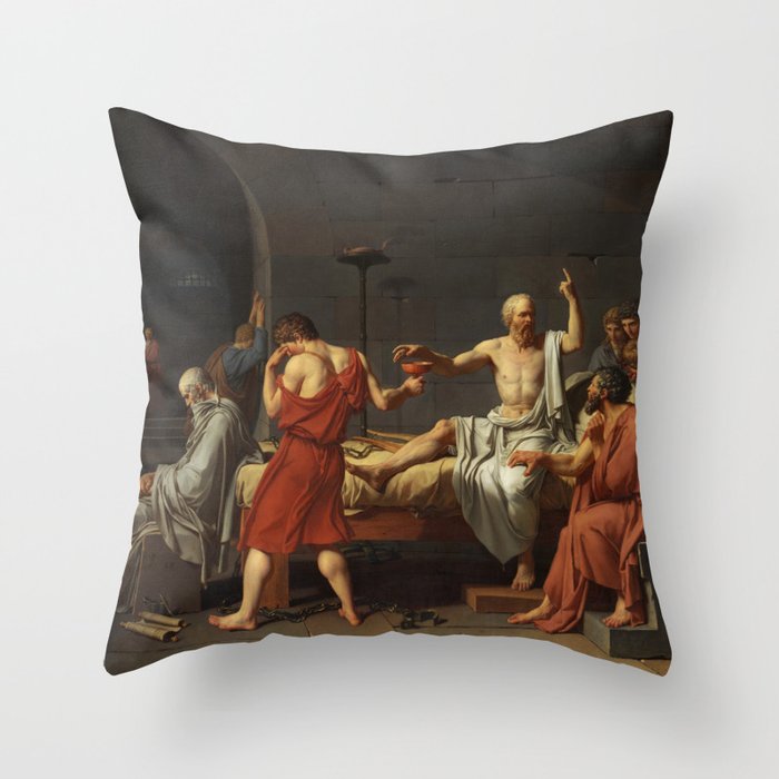 Throw Pillow