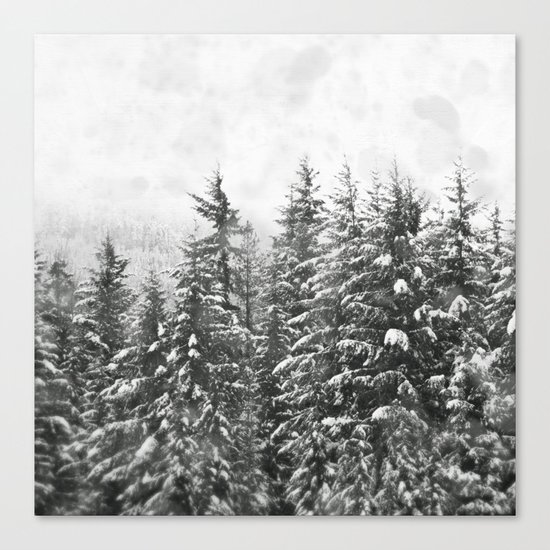 Winter Woods Canvas Print