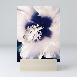 beautiful white purple aesthetic flower vintage photography Mini Art Print