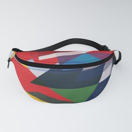 Organize Fanny Pack