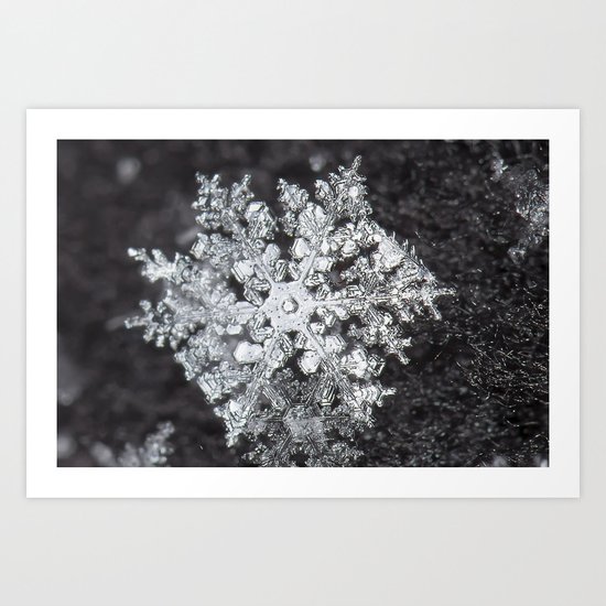 Sowflake closeup #4 Art Print