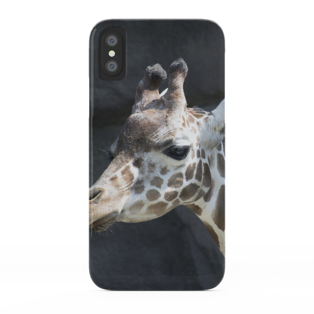 Philadelphia Zoo Series 22 Phone Case by sarahshanely