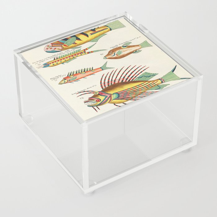 fish by Louis Renard Acrylic Box
