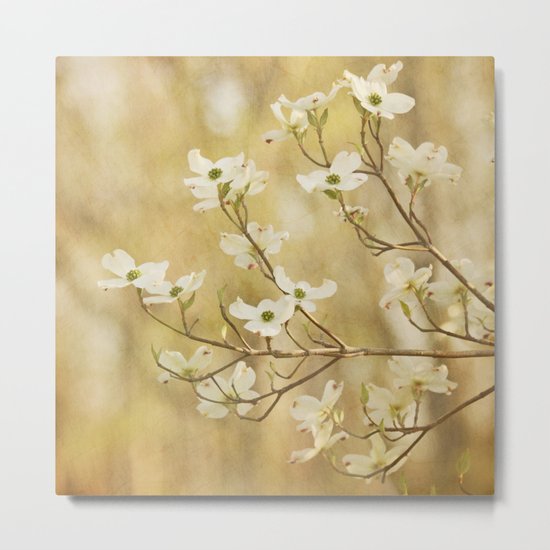 Days of Dogwoods Metal Print