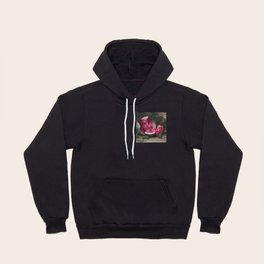 CRACKED WATERMELON - CHARLES ETHAN PORTER  Hoody