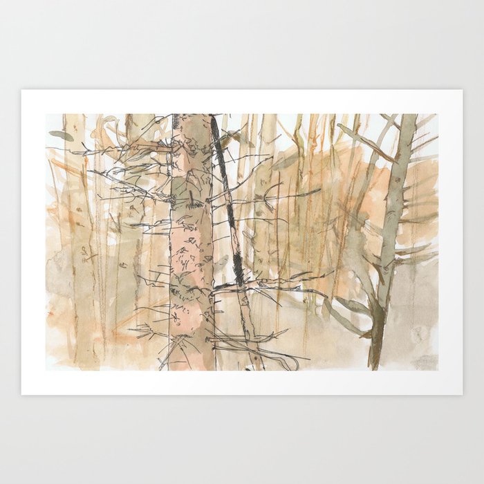 birch forest Art Print